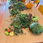 Bloemschikken herfst 2025 nr. 202510709