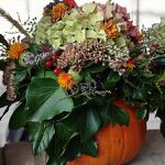 Bloemschikken herfst 2025 nr. 202510743