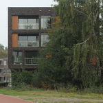 De Hoef en omgeving   nov 2019 pp