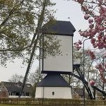 Molen in april 2021  Toos van Opstal