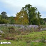 Kanaalpark herfst nr. 20230403 A 
