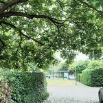 Zomersneeuw  op pad naar de bushalte aan de Oude Baan nr. 20230703 A 