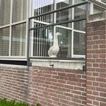 Een gans op wacht bij de Residence de Gele Hoeve aan de Maizaraclaan nr. 20230708
