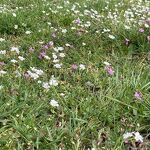 In het park aan het snelfietspad dit bloemenparadijsje nr. 20230464 A