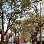 Bredestaat in lentetooi nr. 020230467 A 