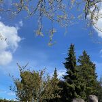 Vliegtuig nr. 20240501