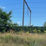 Spoor bij de Jhr. von Heijdenlaan nr. 20240704 