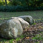 Tussen de Parkweg en de spoorlijn herfstbladeren  nr. 20231055