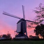 De Molen vroeg in de morgen nr. 20231069  A 