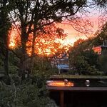 Zonsopgang in Molenhoek nr. 20230967 A 