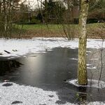 Winter in Rosmalen, vijver in de Rooseveltlaan  nr. 20240117 A 