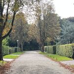 Beginnende herfst in de Driebergenlaan 20231009 A 