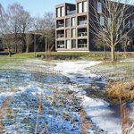 Sneeuw in de Hoef nr. 20240146 A