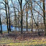 Laatste sneeuwpret bij de 'berg'in het Rooseveltpark nr.20240175 A 