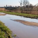 Het wande;pad langs het kanaal is wel erg nat nr. 20240302 A 