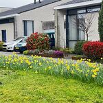 Bloemen in de wijk nr. 20240325 A