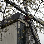 De molen in onze wijk nr. 20230969 A