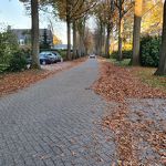 Diepenbrocklaan nov 2020