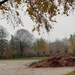 Het Gildeplein opslag herfstbladeren  nov 2020 Toos van Opstal
