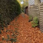  oktober 2020 Toos van Opstal