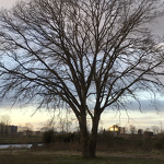 12 01-2021 Ochtend in het kanaalpark nabij Heerenbeekstraat   ps