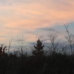 Avondrood in het Kanaalpark 24-21-2018 Ans van Nuland