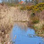 23-03-2020 Kanaalpark Henk Vissers