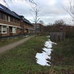 Restje sneeuw Het Blazoen 17-02-2021 mvs
