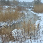 Kanaalpark 07-02-2021 Henk Vissers