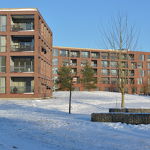 De Hoef 12-02-2021 Henk Vissers