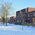  De Hoef 12-02-2021 Henk Vissers
