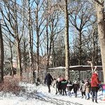 Sportlaan februari 2021 Toos van Opstal