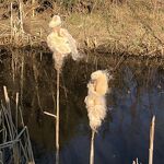 Nr. 1  Kunstwerkje in Kanaalpark nr. 202503115