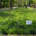 Chopinlaan buurtproject nr. 202404722