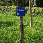 De buurt zorgt voor biodiversiteit nr. 202404723 
