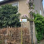 Natuurvriendelijke voortuin in Martinus Nijhoffstraat nr. 202404731