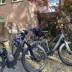 Met de fiets langs de open tuinen nr. 202404732