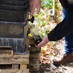 Uit het kraantje tap je goede plantenvoeding nr. 202404708