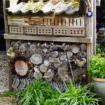 Insectenhotel  nr. 202404714 