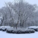 202601104  Winter in de Bisschop-Bekkerslaan 