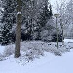 202601105  Eem winters bankje in de Bisschops Bekkerslaan