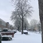 202601109 De witte Chopinlaan