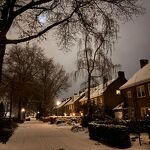 Rector Zwijsenlaan Geertje Falke nr. 20260106