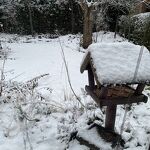 Best veel sneeuw in de achtertuin op zaterdagmorgen 3-01-2026 nr. 20260108