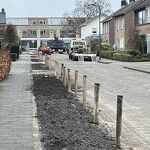 202602148 Vergroening Jacob Catsstraat en omgeving