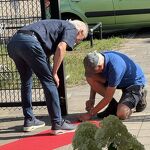 20250904 De rode loper wordt gelegd door Pieter en Ben