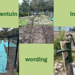 Kruidentuin in wording nr. 202609173